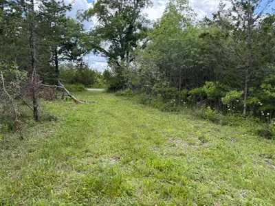 Lot 3 B Galbraith Grove Road, Stone Mills, On K0k 3n0
