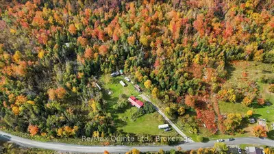 984 Cleveland Road, Tudor & Cashel, On K0k 1y0