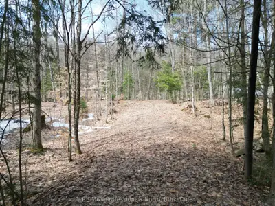 1231 Big Hawk Lake Road, Algonquin Highlands, On K0m 1j2