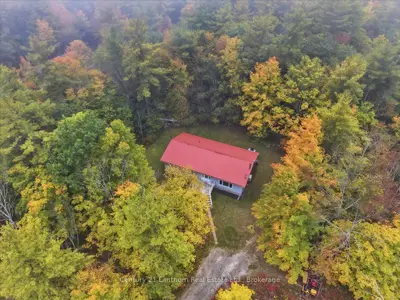 47 Reynolds Road, Madoc, On K0k 2k0