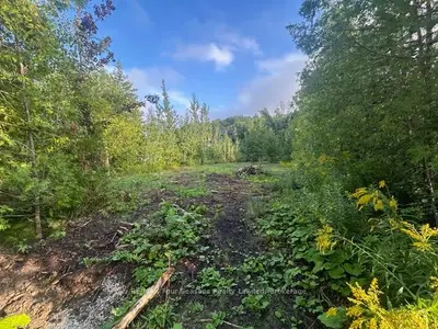 122 James Street, Blue Mountains, On L9y 0t6