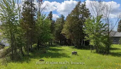 239 FRONT Street W, Kawartha Lakes, ON K0M 1A0