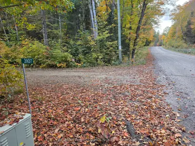 3907 STISTED Road, McMurrich/Monteith, ON P0A 1Y0