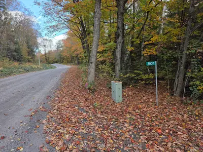 3907 STISTED Road, McMurrich/Monteith, ON P0A 1Y0