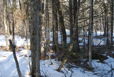 99 Future Lane, Stirling-rawdon, On K0k 2m0
