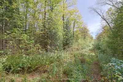 Lot 61 Off Of Echo Ridge Road, Kearney, On P0a 1m0