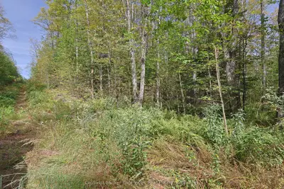 Lot 61 Off Of Echo Ridge Road, Kearney, On P0a 1m0