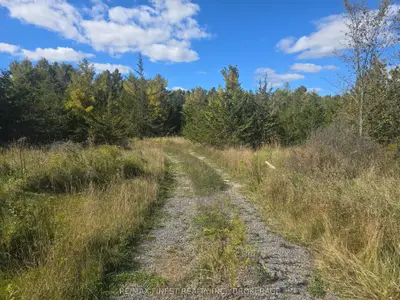 Pt Lt 23 & 24 Hunt Road, Stone Mills, On K0k 2s0