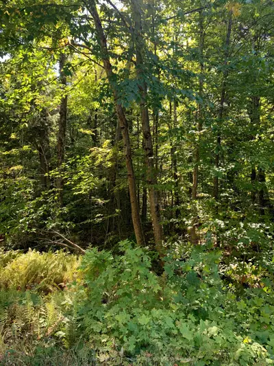 0 Ahmic Lake Road, Magnetawan, On P0a 1p0