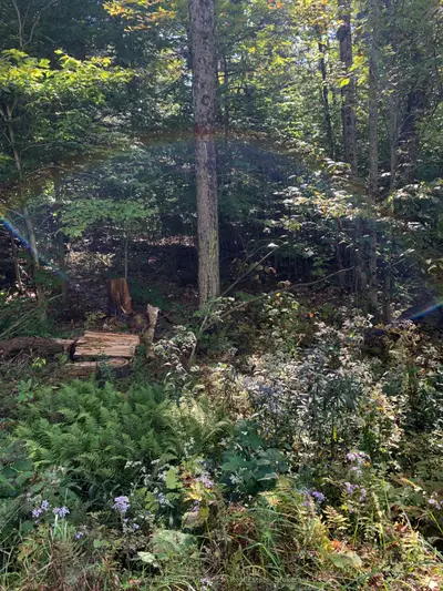 00 Ahmic Lake Road, Magnetawan, On P0a 1p0