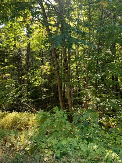 00 Ahmic Lake Road, Magnetawan, On P0a 1p0