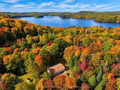 5110 Muskoka 117 Road, Lake Of Bays, On P0a 1e0