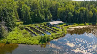 548037 3rd Side Road, Blue Mountains, On N0h 2e0