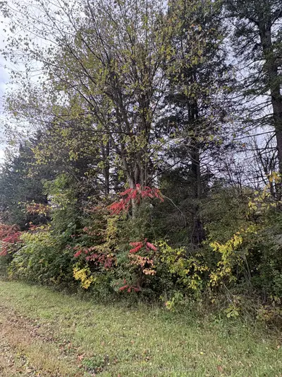 Glen Roy Rd Road, South Glengarry, On, K0c 1l0