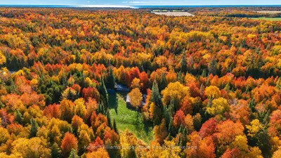 1074 West Road, Northern Bruce Peninsula, On N0h 1w0