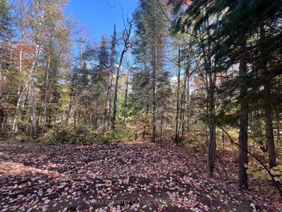 0 High Bush Road, Hastings Highlands, On K0l 2w0