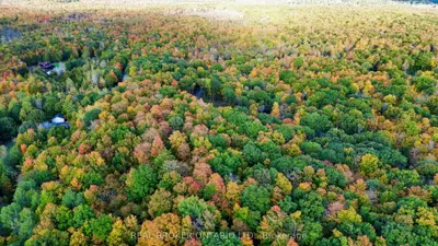 349 Burchill Road, Montague, On K0g 1n0