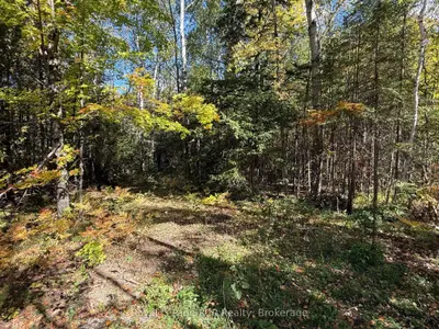 Pt Lt 1-2 Concession 3, Georgian Bluffs, On N4k 5n6