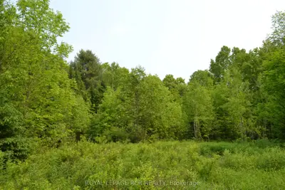 1527 Madill Road, Highlands East, On K0m 1r0