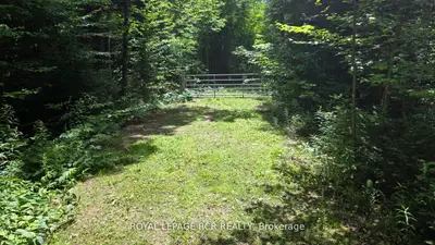 1414 Madill Road, Highlands East, On K0m 1r0