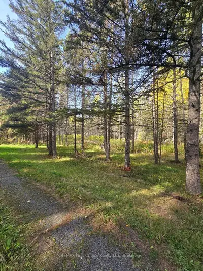 928 595 Highway, O'connor, On P0t 1w0