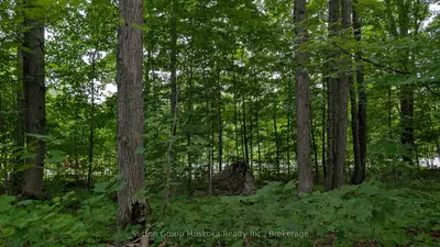 837 Aspdin Road, Huntsville, On P1h 0h2