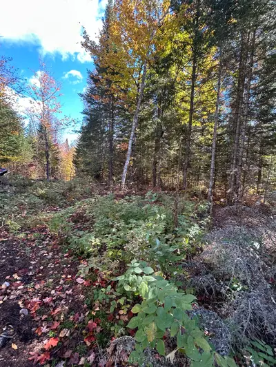 0 Rosien Road, Bonnechere Valley, On K0j 1t0