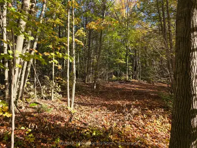 Pt Lt 13 Con 9 35 Highway, Minden Hills, On K0m 2k0