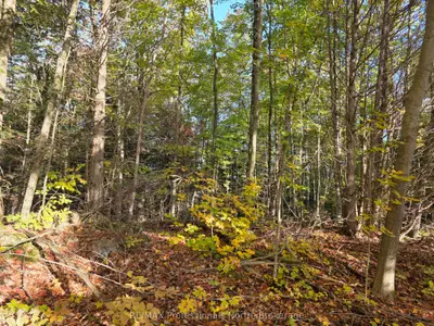 Pt Lt 13 Con 9 35 Highway, Minden Hills, On K0m 2k0