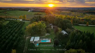 516557 7th Line, Blue Mountains, On N0h 2p0