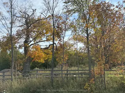 North 1/2 Lot 25 St Vincent Sydenham Townline N, Meaford, On N4k 5w4