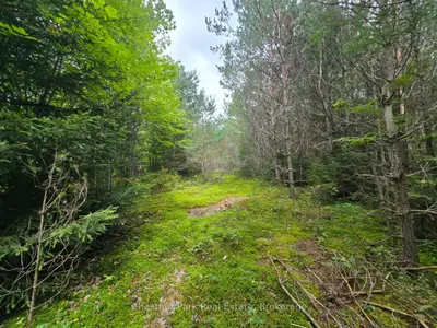 00 Old Track Road, Perry, On P0a 1j0