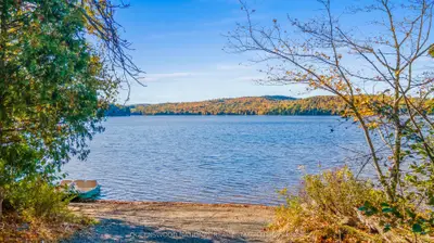 20683 60 Highway E, Madawaska Valley, On K0j 1b0