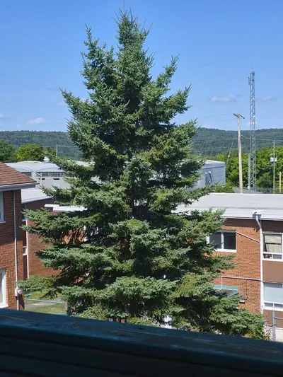 9-102 Hutchison Avenue, Elliot Lake, On P5a 1w8