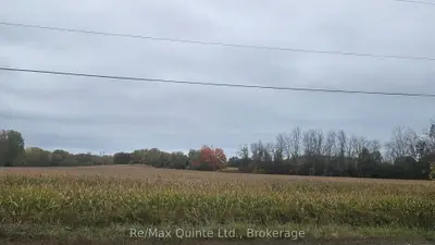 0 Frankford Road, Quinte West, On K0k 2b0
