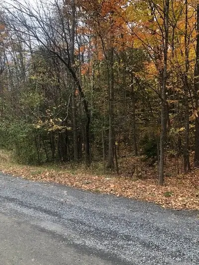 0 Concession 10 Road Acres, North Glengarry, On K0b 1h0