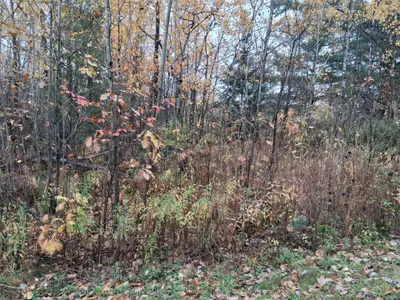 0 Bear Creek Road, Callander, On P0h 1h0