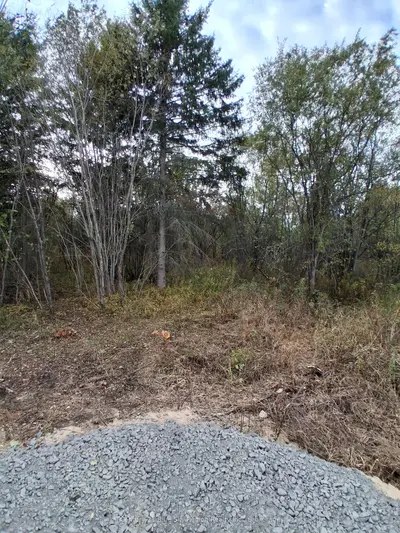 0 Tillicum Road, Callander, On P0h 1h0