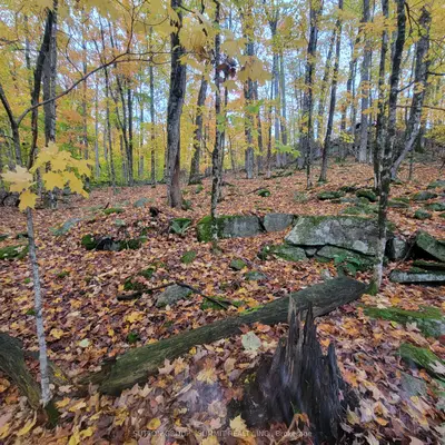 255 Westpoint Sands Road, Huntsville, On P1h 2j3