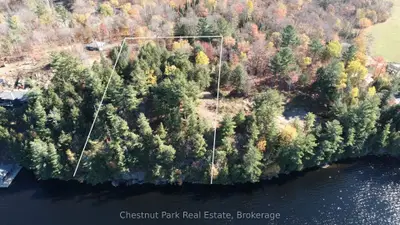 536 Springfield Road, Huntsville, On P1h 0h9