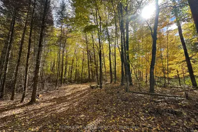2093 Smith Road, North Frontenac, On K0h 1c0