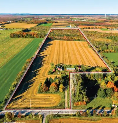 159135 Highway 10, Melancthon, On L9v 2g3