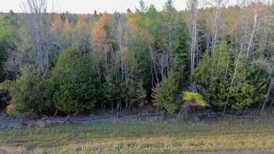 Lot 3 Watsons Corners Road, Lanark Highlands, On K0g 1k0