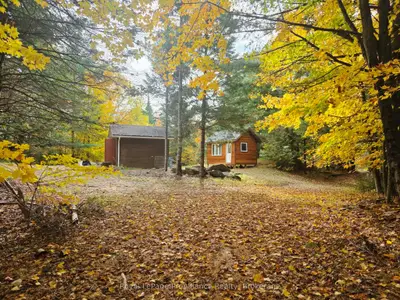 1883 South Road, North Frontenac, On K0h 1k0