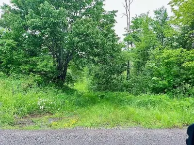 000 Lasswade Road, North Kawartha, On K0l 1a0