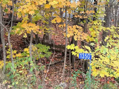 1350 Madill Road, Highlands East, On K0l 2y0
