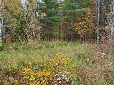 1003 Silver Lake Road, Gravenhurst, On P1p 0g3