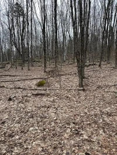 0 Providence Drive, Algonquin Highlands, On K0m 1s0