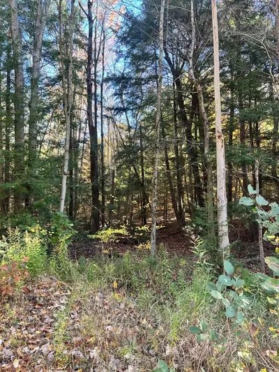 1101 DOE LAKE Road, Gravenhurst, ON P1P 1R3
