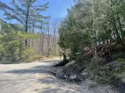 Lot 1 Colonial Road, Minden Hills, On K0m 2k0
